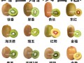 猕猴桃英语怎么说？kiwi是什么水果？(知乎）