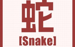 蛇英语怎么说，蛇英语怎么说snack？（今日头条已更新）