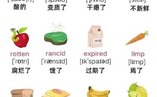 生活英语怎么说，初中生活英语怎么说(2024头条知乎已更新）