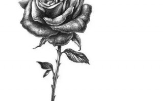 素描用英语怎么说，素描用英文怎么写(2024头条知乎已更新）