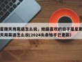 星期天用英语怎么说，她最喜欢的日子是星期天用英语怎么说(2024头条知乎已更新）