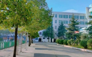 岳阳职高有哪些学校，岳阳职中有哪些？（今日头条已更新）