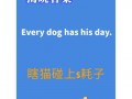 上火用英语怎么说，上火英文怎么翻译？（今日头条已更新）