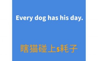 上火用英语怎么说，上火英文怎么翻译？（今日头条已更新）