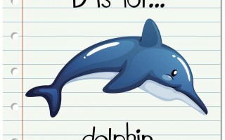 海豚用英语怎么说，海豚用英语怎么说 dolphin(2024头条知乎已更新）