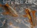 谢谢老师英语怎么说，好的谢谢老师英语怎么说？（今日头条已更新）