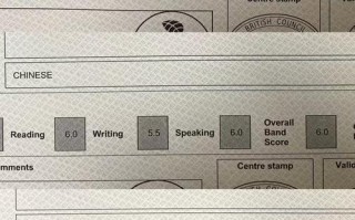 英语八级什么水平？英语比较高水平是几级？(知乎）