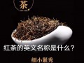 红茶用英语怎么说，黑茶用英语怎么说？（今日头条已更新）