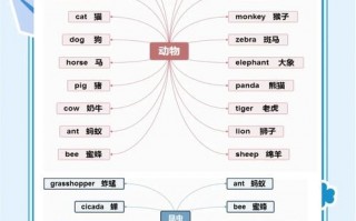 小学英语怎么学？小学英语怎么学零基础？(知乎）