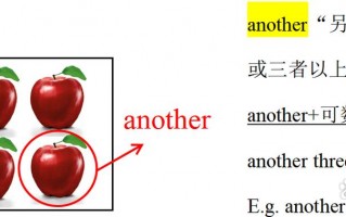其他用英语怎么说？请让一下英语怎么说？(知乎）