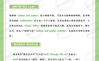 毛用英语怎么说，白色的毛用英语怎么说？（今日头条已更新）