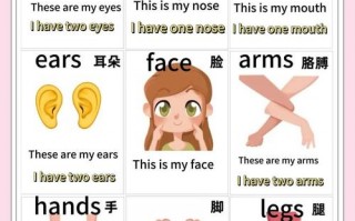下巴英语怎么说？下巴的英语怎么写？(知乎）