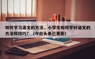 如何学习语文的方法，小学生如何学好语文的方法和技巧？（今日头条已更新）