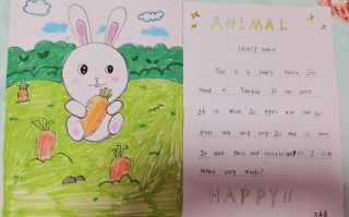 兔子的英语怎么说？形容兔子的英语怎么说？(知乎）