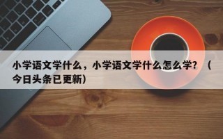 小学语文学什么，小学语文学什么怎么学？（今日头条已更新）