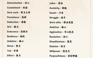 经验英语怎么说，经验英语怎么说读(2024头条知乎已更新）