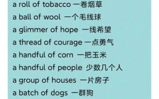 英语中的量词有哪些？英语里面的量词有哪些？(知乎）