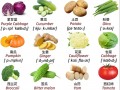 蔬菜英语怎么说，沙拉英语怎么说(2024头条知乎已更新）