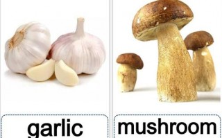 蘑菇用英语怎么说，蘑菇用英语怎样说？（今日头条已更新）