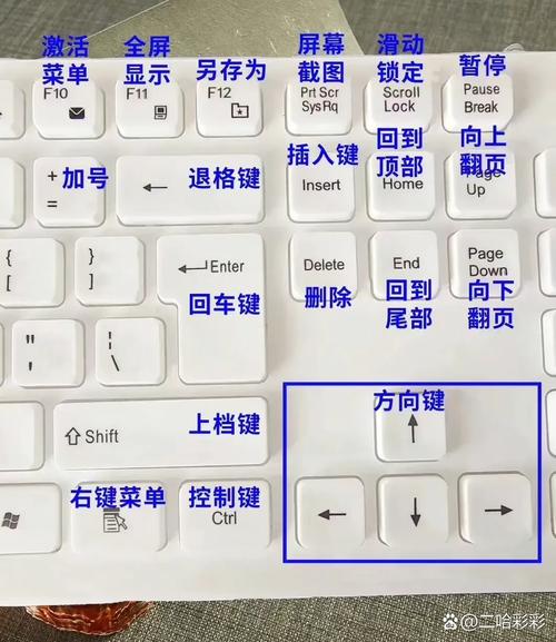 舒服的英语怎么说，舒服的英语怎么说读(2024头条知乎已更新）-第3张图片-家教网