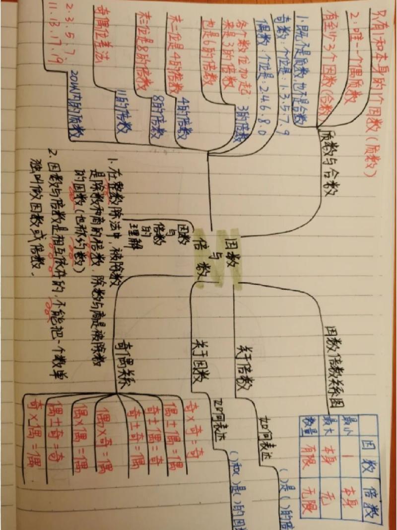 数学知识树怎么画,数学知识树怎么画六年级(2024头条知乎已更新)-第1张图片-家教网 数学知识树怎么画,数学知识树怎么画六年级(2024头条知乎已更新)-第1张图片-家教网