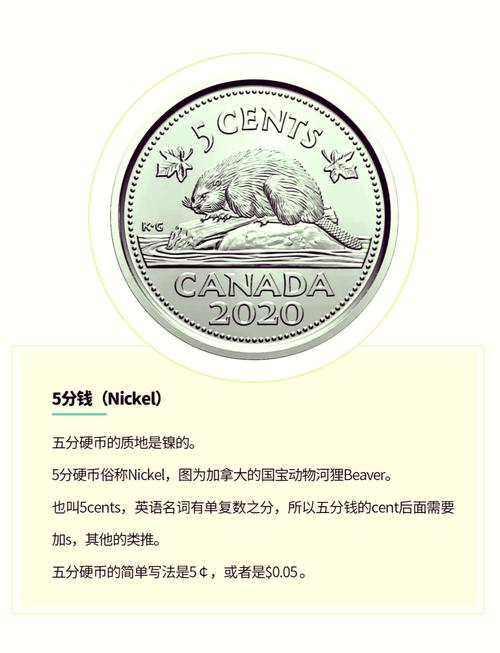 硬币英语怎么说,硬币用英语怎么念?(今日头条已更新)-第6张图片-家教网 硬币英语怎么说,硬币用英语怎么念?(今日头条已更新)-第6张图片-家教网