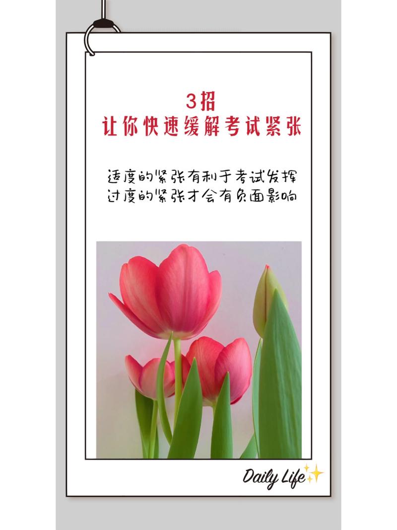 如何缓解考试紧张情绪,如何缓解考试紧张情绪激动(2024头条知乎已更新)-第3张图片-家教网 如何缓解考试紧张情绪,如何缓解考试紧张情绪激动(2024头条知乎已更新)-第3张图片-家教网