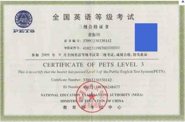 pets是什么考试?PETS是什么考试?(知乎)-第3张图片-家教网 pets是什么考试?PETS是什么考试?(知乎)-第3张图片-家教网
