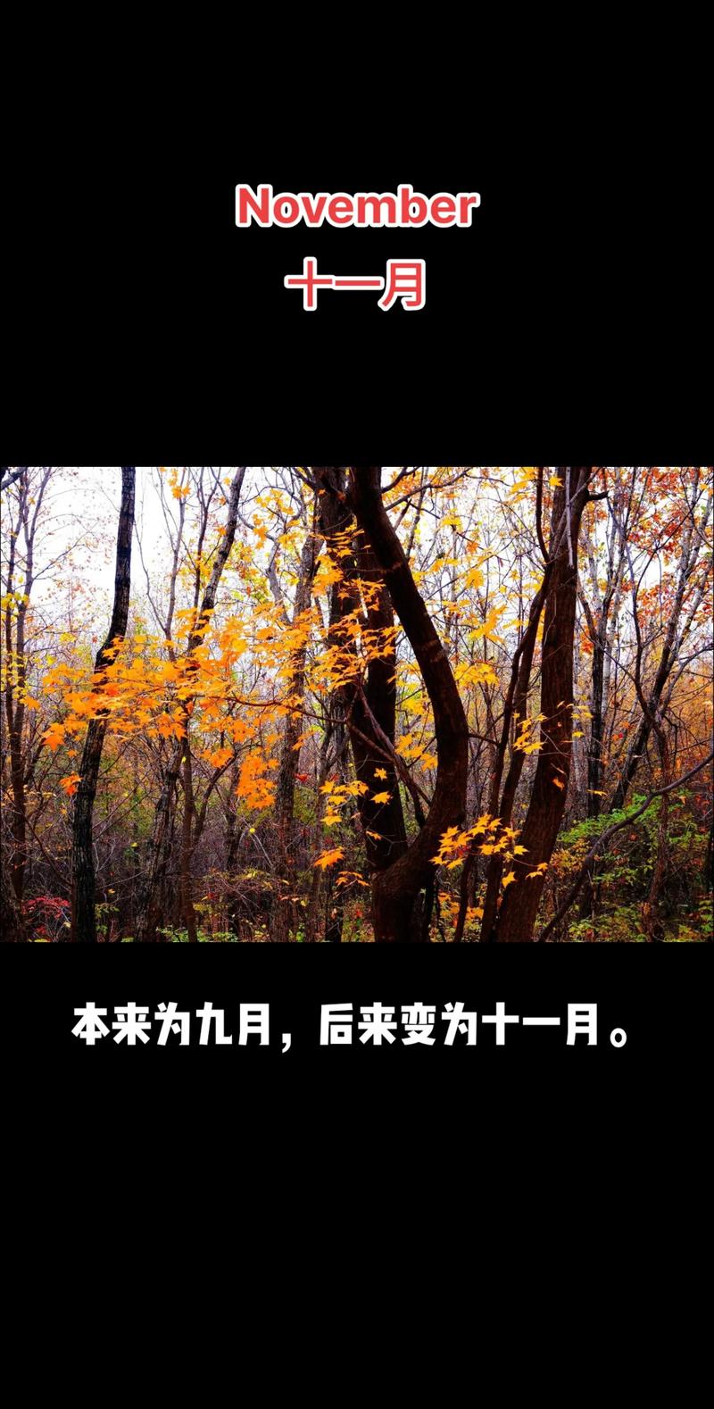 十二月英语怎么说,十二月英语怎么说12个月(2024头条知乎已更新)-第3张图片-家教网 十二月英语怎么说,十二月英语怎么说12个月(2024头条知乎已更新)-第3张图片-家教网