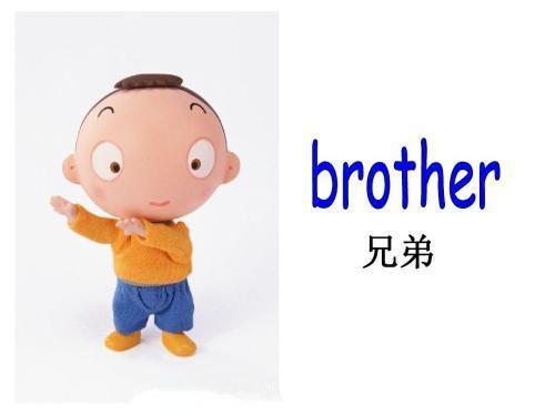 兄弟的英语怎么说,堂兄英语cousin(2024头条知乎已更新)-第3张图片-家教网 兄弟的英语怎么说,堂兄英语cousin(2024头条知乎已更新)-第3张图片-家教网
