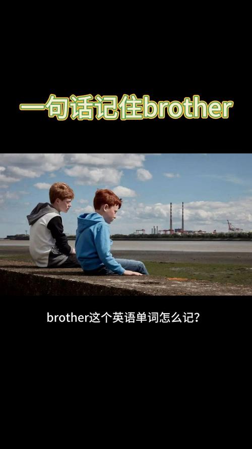 兄弟的英语怎么说,堂兄英语cousin(2024头条知乎已更新)-第4张图片-家教网 兄弟的英语怎么说,堂兄英语cousin(2024头条知乎已更新)-第4张图片-家教网