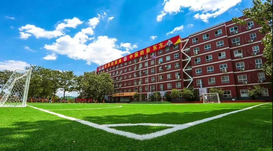 新东方学校怎么样,新东方学校怎么样升本率高吗?(今日头条已更新)-第3张图片-家教网 新东方学校怎么样,新东方学校怎么样升本率高吗?(今日头条已更新)-第3张图片-家教网