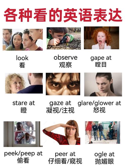 看着我英语怎么说?1100的英语怎么说?(知乎)-第4张图片-家教网 看着我英语怎么说?1100的英语怎么说?(知乎)-第4张图片-家教网
