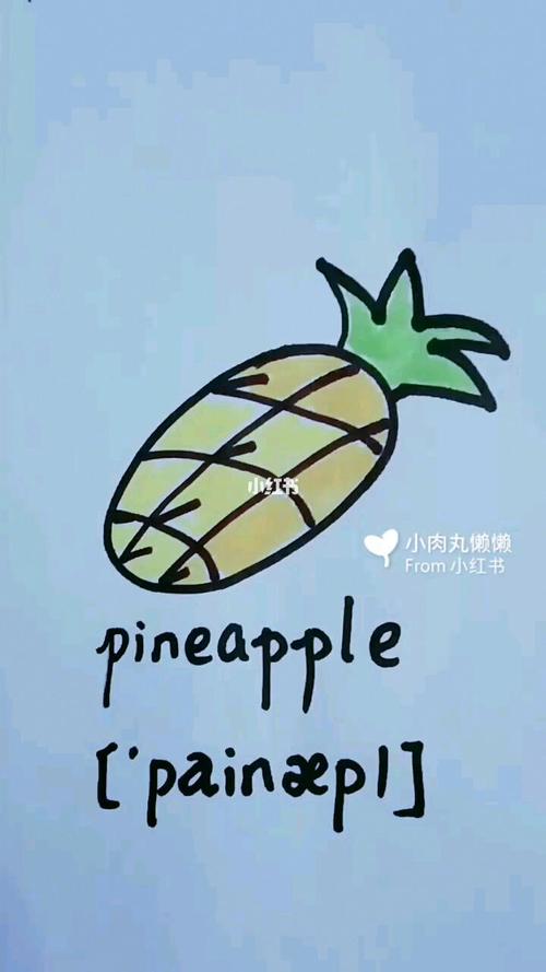 菠萝用英语怎么说,菠萝用英语怎么说读音(2024头条知乎已更新)-第1张图片-家教网 菠萝用英语怎么说,菠萝用英语怎么说读音(2024头条知乎已更新)-第1张图片-家教网