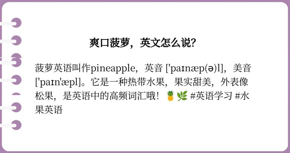 菠萝用英语怎么说,菠萝用英语怎么说读音(2024头条知乎已更新)-第3张图片-家教网 菠萝用英语怎么说,菠萝用英语怎么说读音(2024头条知乎已更新)-第3张图片-家教网