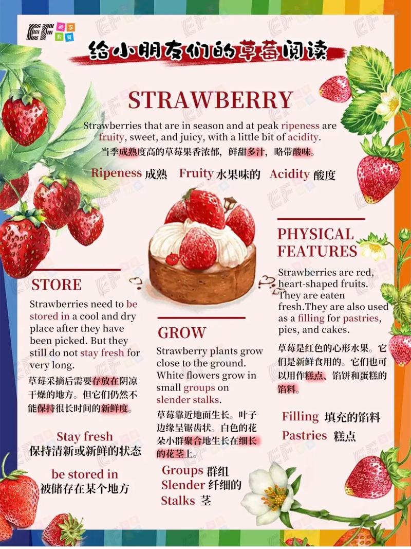 菠萝用英语怎么说,菠萝用英语怎么说读音(2024头条知乎已更新)-第4张图片-家教网 菠萝用英语怎么说,菠萝用英语怎么说读音(2024头条知乎已更新)-第4张图片-家教网