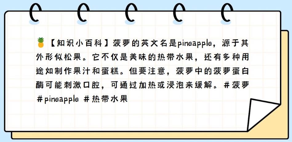 菠萝用英语怎么说,菠萝用英语怎么说读音(2024头条知乎已更新)-第5张图片-家教网 菠萝用英语怎么说,菠萝用英语怎么说读音(2024头条知乎已更新)-第5张图片-家教网