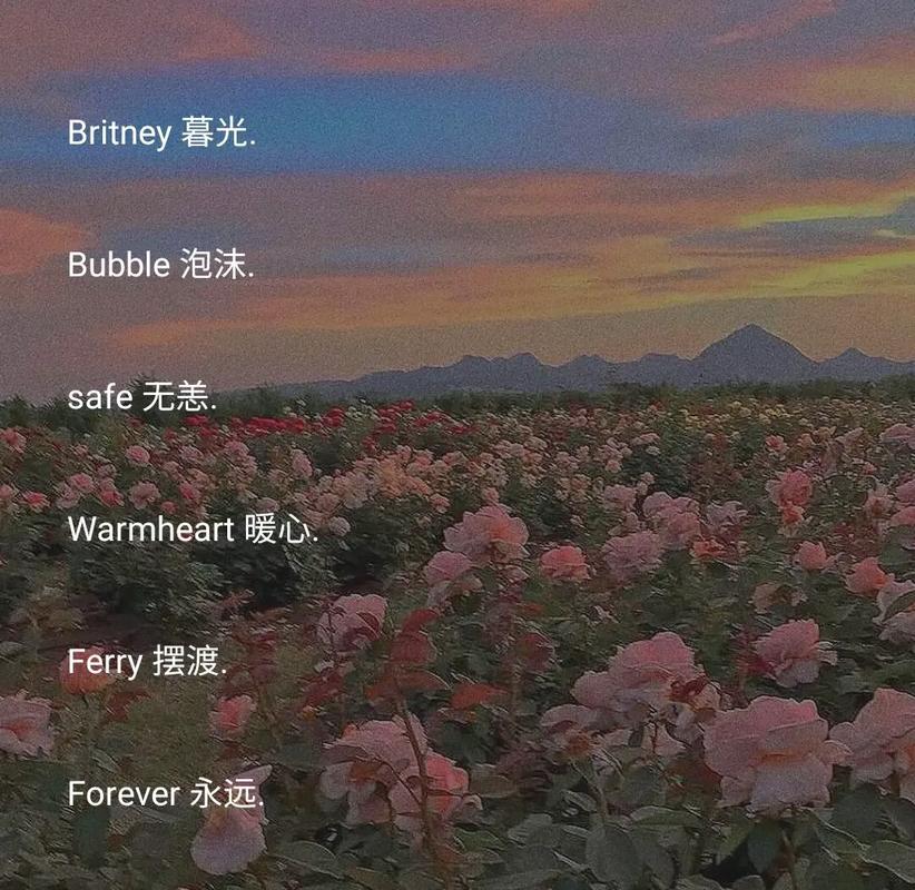 星辰用英语怎么说,星辰用英语怎么说,高级?(今日头条已更新)-第5张图片-家教网 星辰用英语怎么说,星辰用英语怎么说,高级?(今日头条已更新)-第5张图片-家教网