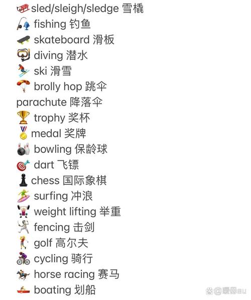 体育运动英语怎么说?你什么时候进行体育运动英语怎么说?(知乎)-第1张图片-家教网 体育运动英语怎么说?你什么时候进行体育运动英语怎么说?(知乎)-第1张图片-家教网
