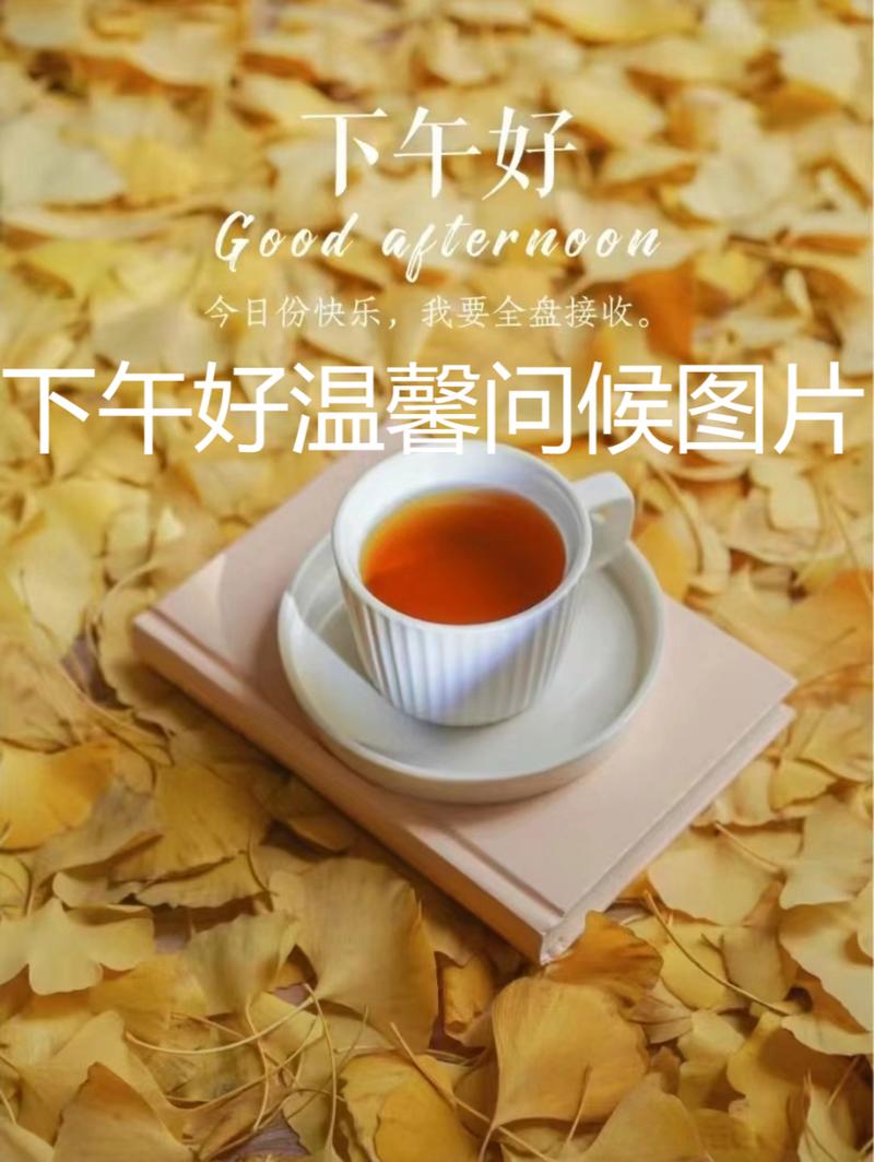 下午好英语怎么说?小姐姐下午好英语怎么说?(知乎)-第1张图片-家教网 下午好英语怎么说?小姐姐下午好英语怎么说?(知乎)-第1张图片-家教网
