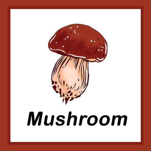 蘑菇用英语怎么说，蘑菇用英语怎样说？（今日头条已更新）-第2张图片-家教网