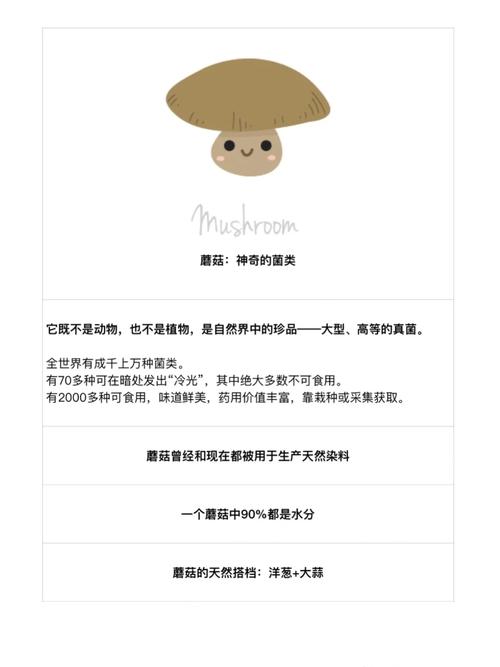 蘑菇用英语怎么说，蘑菇用英语怎样说？（今日头条已更新）-第4张图片-家教网