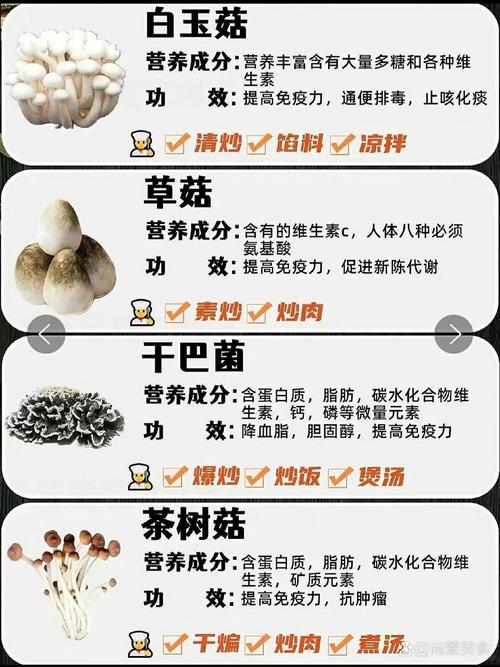 蘑菇用英语怎么说，蘑菇用英语怎样说？（今日头条已更新）-第5张图片-家教网