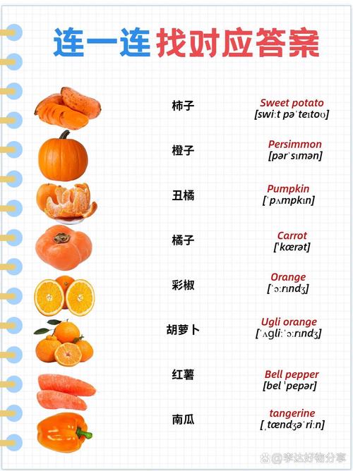 橙子的英语怎么说,橘子的英语怎么说?(今日头条已更新)-第4张图片-家教网 橙子的英语怎么说,橘子的英语怎么说?(今日头条已更新)-第4张图片-家教网