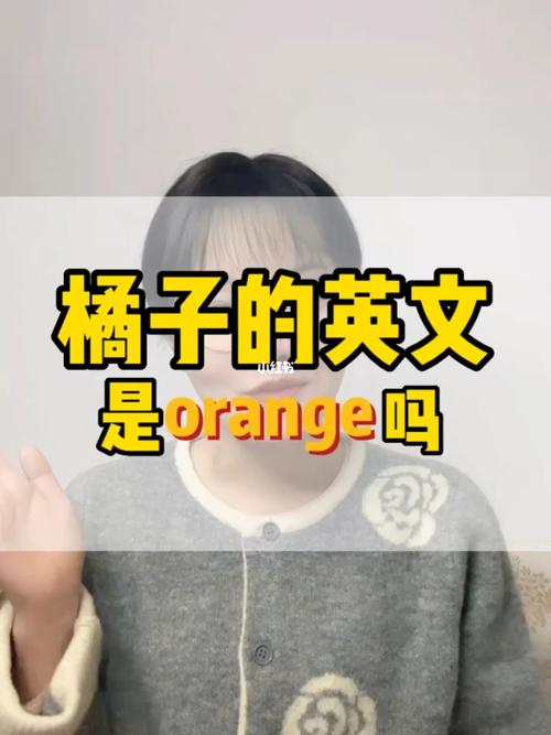 橙子的英语怎么说,橘子的英语怎么说?(今日头条已更新)-第6张图片-家教网 橙子的英语怎么说,橘子的英语怎么说?(今日头条已更新)-第6张图片-家教网