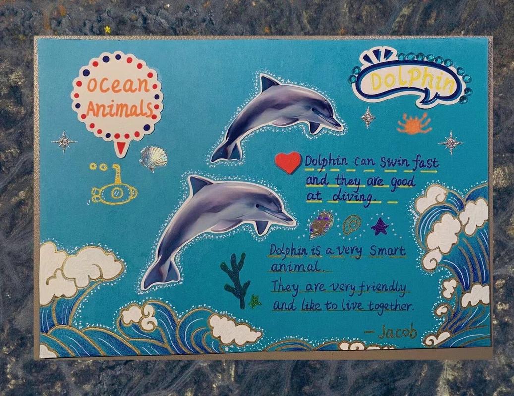 海豚用英语怎么说,海豚用英语怎么说 dolphin(2024头条知乎已更新)-第4张图片-家教网 海豚用英语怎么说,海豚用英语怎么说 dolphin(2024头条知乎已更新)-第4张图片-家教网