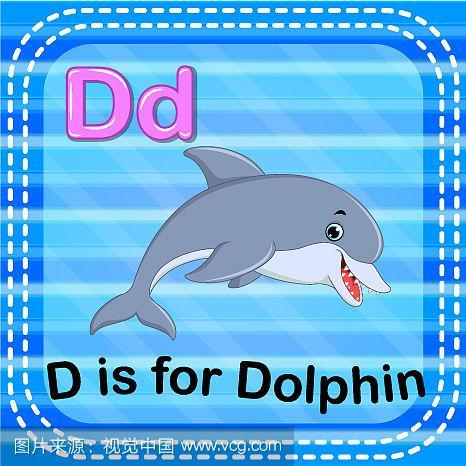 海豚用英语怎么说,海豚用英语怎么说 dolphin(2024头条知乎已更新)-第5张图片-家教网 海豚用英语怎么说,海豚用英语怎么说 dolphin(2024头条知乎已更新)-第5张图片-家教网