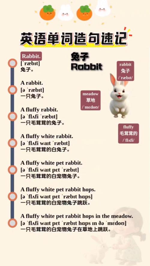 兔子的英语怎么说?形容兔子的英语怎么说?(知乎)-第4张图片-家教网 兔子的英语怎么说?形容兔子的英语怎么说?(知乎)-第4张图片-家教网