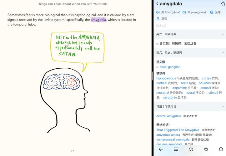 焦虑英语怎么说,焦虑用英语怎么表达?(今日头条已更新)-第6张图片-家教网 焦虑英语怎么说,焦虑用英语怎么表达?(今日头条已更新)-第6张图片-家教网