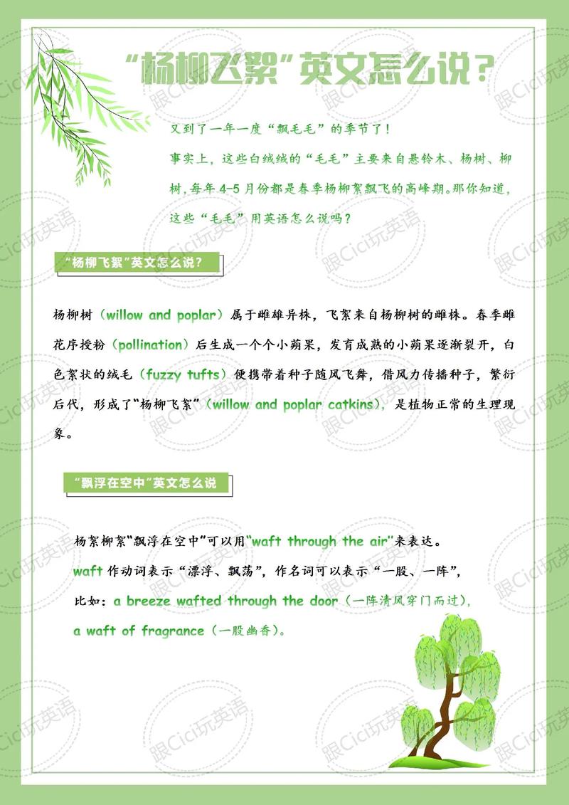 毛用英语怎么说,白色的毛用英语怎么说?(今日头条已更新)-第1张图片-家教网 毛用英语怎么说,白色的毛用英语怎么说?(今日头条已更新)-第1张图片-家教网